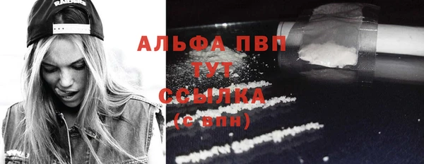 дмт Лабытнанги
