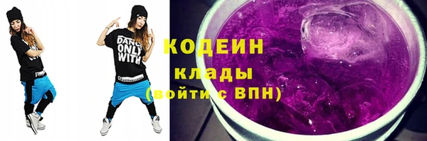 дмт Лабытнанги