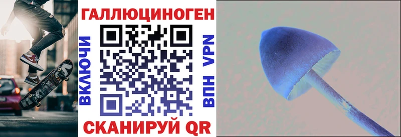 МЕГА ТОР  Нерчинск  Псилоцибиновые грибы Psilocybe 